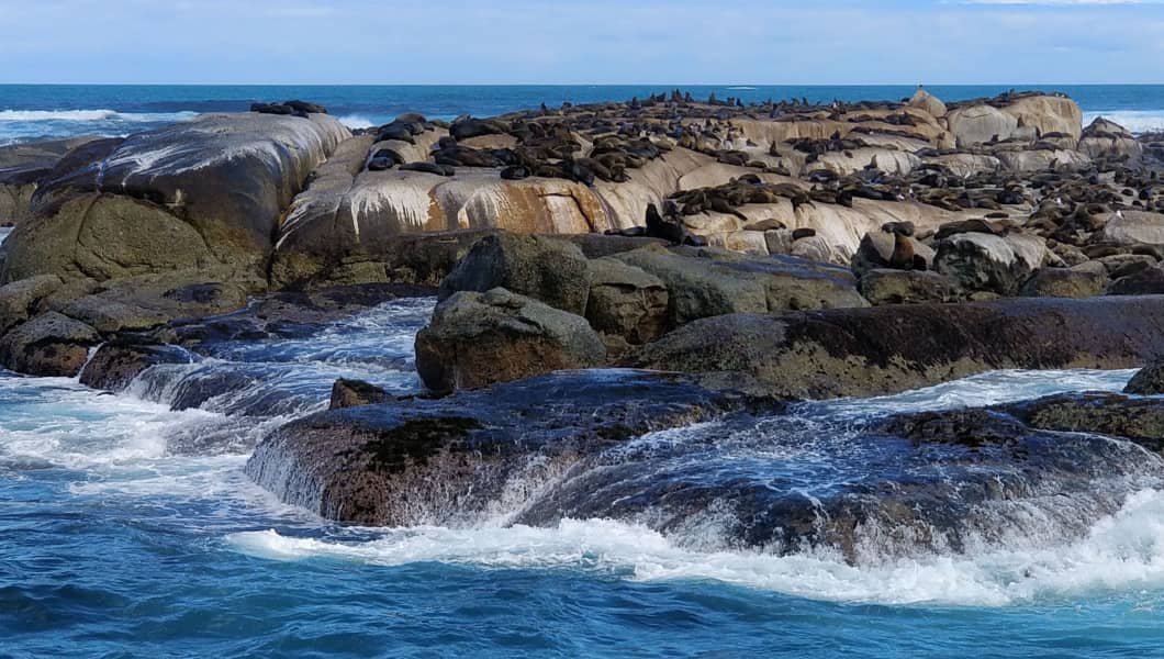 resto al sud attività finanziabili