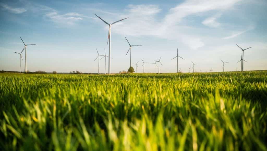 Fondo Nazionale Efficienza Energetica 2019: finanziamenti agevolati e garanzie per le imprese
